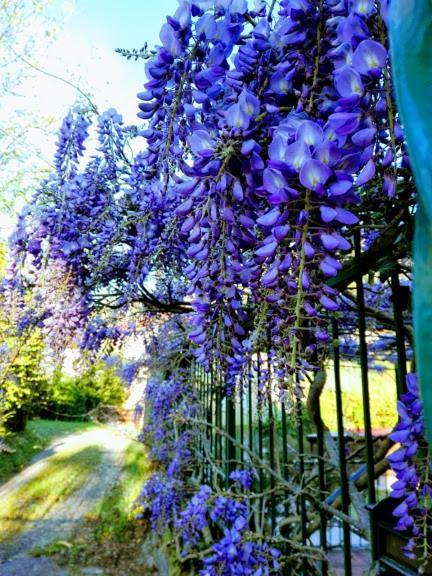 La Torretta bed & breakfast Torriglia Eksteriør bilde